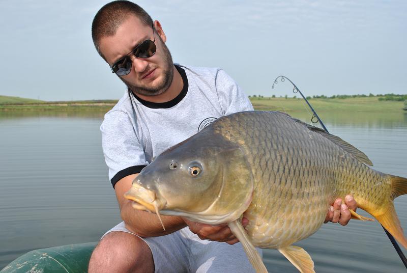 crapi - a62e1f7a-1665-44c6-a663-c4f24cf18c6d.jpg